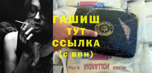 ECSTASY Бородино