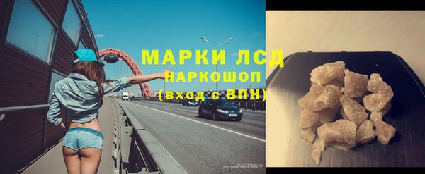 ECSTASY Бородино