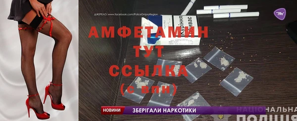 ECSTASY Бородино