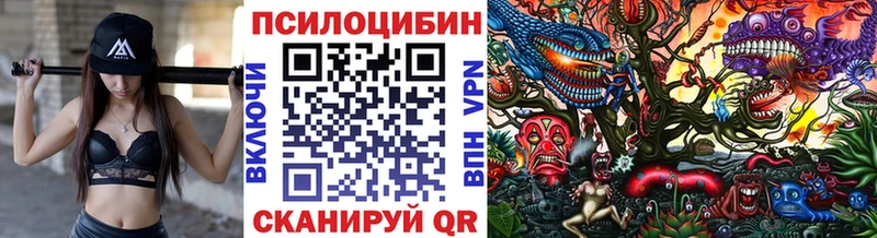 Псилоцибиновые грибы GOLDEN TEACHER Гудермес